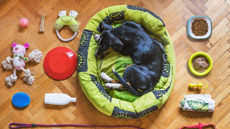 Como Fazer Cama de Cachorro Maravilhosa Costurando uma Manta Velha