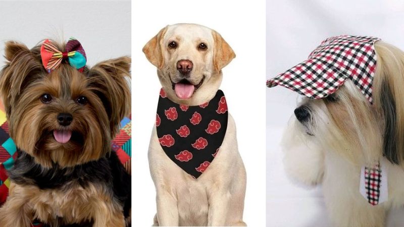Moldes Moda Pet Grátis: 15 Acessórios para Cachorro para Baixar e Imprimir