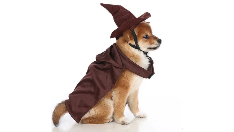 Fantasia Halloween Cachorro: 5 Passo a Passos com Molde Grátis